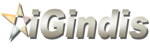 iGindis logo